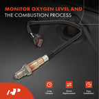 Oxygen Sensor for Ford F-150 (2018-2020), Explorer (2020-2024), Edge