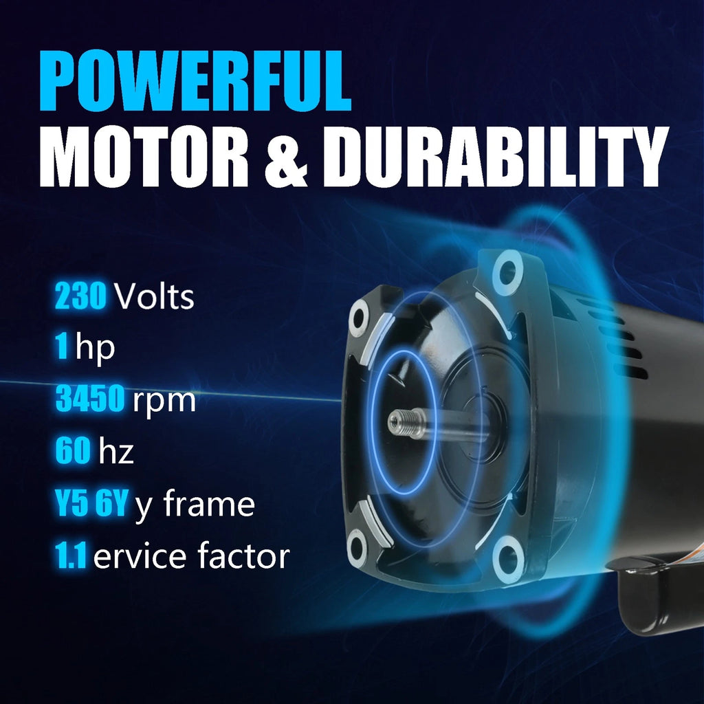 2 HP Pool Pump Motor for Swimming Pool (230V)