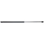 Set of 2 Hood Lift Supports for Coupe
