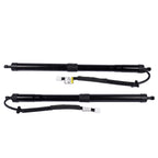 Pair Rear Tailgate Lift Support Struts for Lexus RX350 RX350L RX450hL (2018–2023)