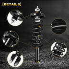 Set of 2 Rear Complete Struts with Coil Springs for Honda Accord (2013–2015)