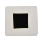 Magnetic Field Viewer for Science Enthusiasts and Educators