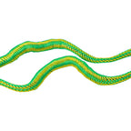 4FT Elastic Dock Line Rope with Stainless Snap for Kayak and Small Boats