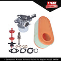 Carburetor Kit for 111P02 Engine (No Solenoid Valve)