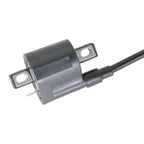 Ignition Coil CDI & Spark Plug for Yamaha Badger 80, Grizzly 80, Raptor 80 (1995–2006)