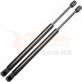 Set of 4 Hood & Liftgate Lift Supports for Nissan Murano (2005–2007)