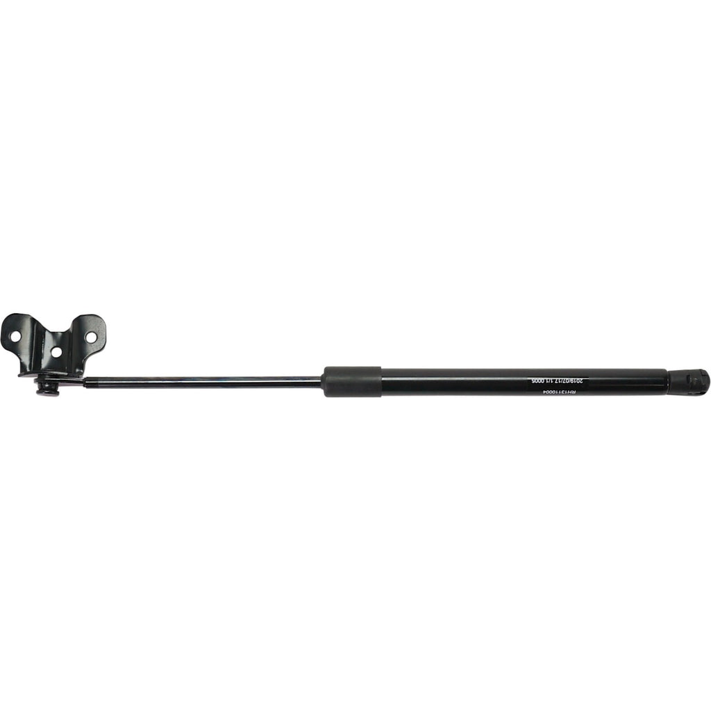 Lift Support for Honda Crosstour (2012–2015) Driver or Passenger Side