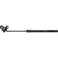 Lift Support for Honda Crosstour (2012–2015) Driver or Passenger Side