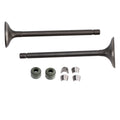 Engine Head Intake Exhaust Valve Kit for Honda CG150 (162FMJ) ATV Quad