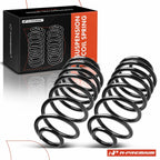 2x Rear Coil Springs for Buick Regal Malibu Cutlass (1978–1981)