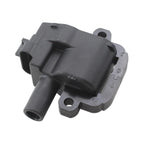 Denso Coil Near Plug 673-7110 for