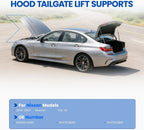 2X Lift Supports Shocks Strut for Nissan Murano (2003–2007)