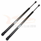 2X Rear Liftgate Lift Supports for Dodge Durango (2006–2009)