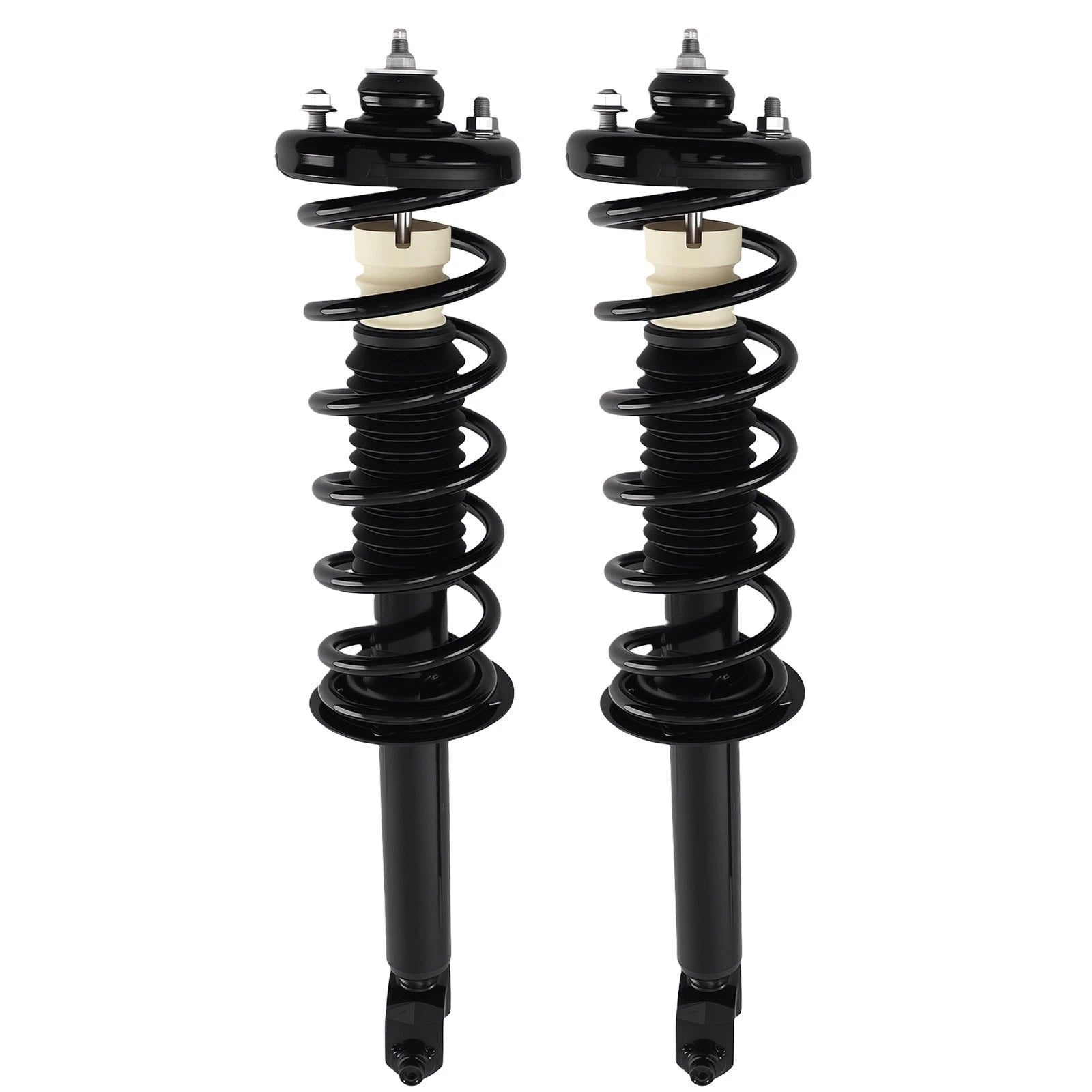 2X Rear Shock Strut Assembly w/ Spring for Acura TSX (2009–2012)