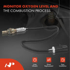 2X O2 Oxygen Sensors for Ford Escape Fusion (2010)