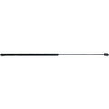 Lift Support for Audi A6 Quattro (2005–2011) Hood Driver/Passenger Side