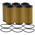 Set of 6 Wix WL10024 Engine Oil Filter Kit for (Metal Free)