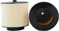 Foam Air Filter for Honda 320-25 (No Toil)