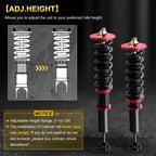 Coilover Shocks Struts Kit for Honda Accord, Acura TL (1998–2003)