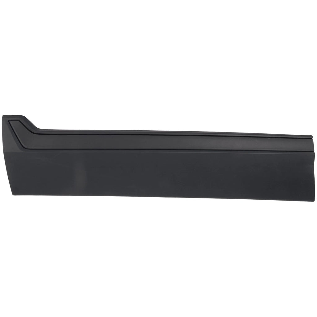 Set of 2 Door Molding for Front Driver & Passenger Side
