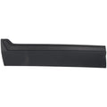 Set of 2 Door Molding for Front Driver & Passenger Side