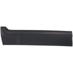 Set of 2 Door Molding for Front Driver & Passenger Side