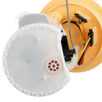 Delphi FG2085 Fuel Pump Module Assembly for Audi A3/Volkswagen Golf (2015–2016)