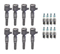 Set of 8 Ignition Coils & Iridium Spark Plugs for 4.6L 5.4L V8 (2000–2023)