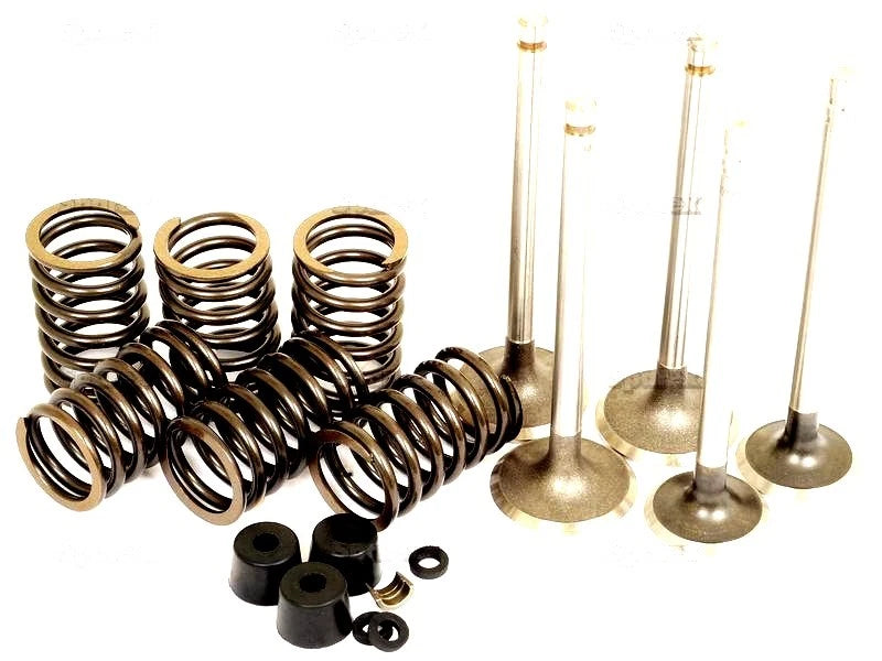 Valve Train Kit for Ford Tractors (2000-4000, 2600-4600)