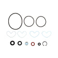 Power Steering Pump Seal Kit for Landini (Replaces 1810839M91)