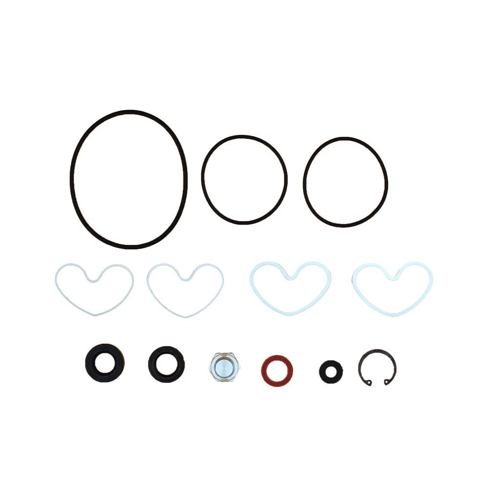 Power Steering Pump Seal Kit for Landini (Replaces 1810839M91)