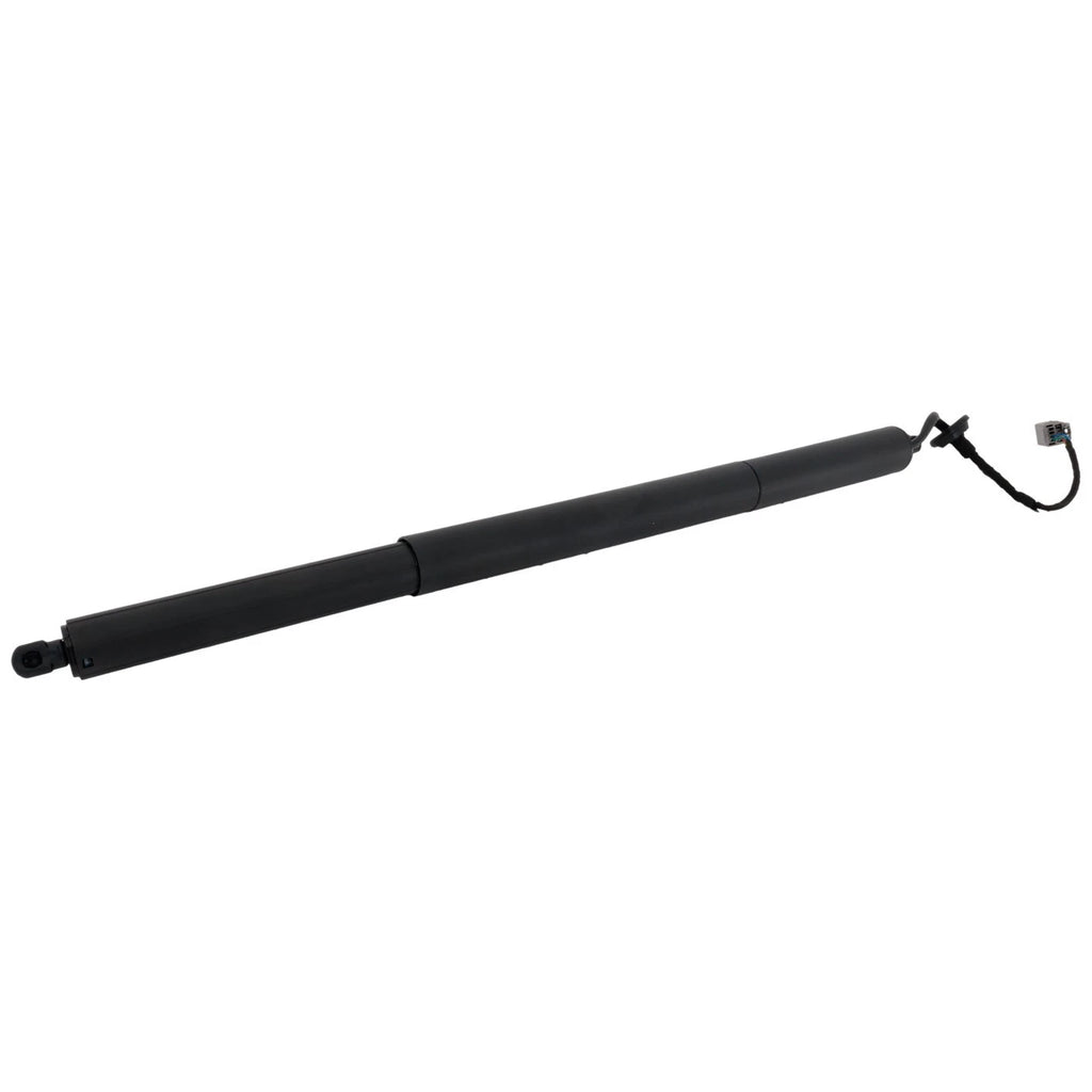 Hatch Lift Supports for Make Model (Driver/Passenger Side)