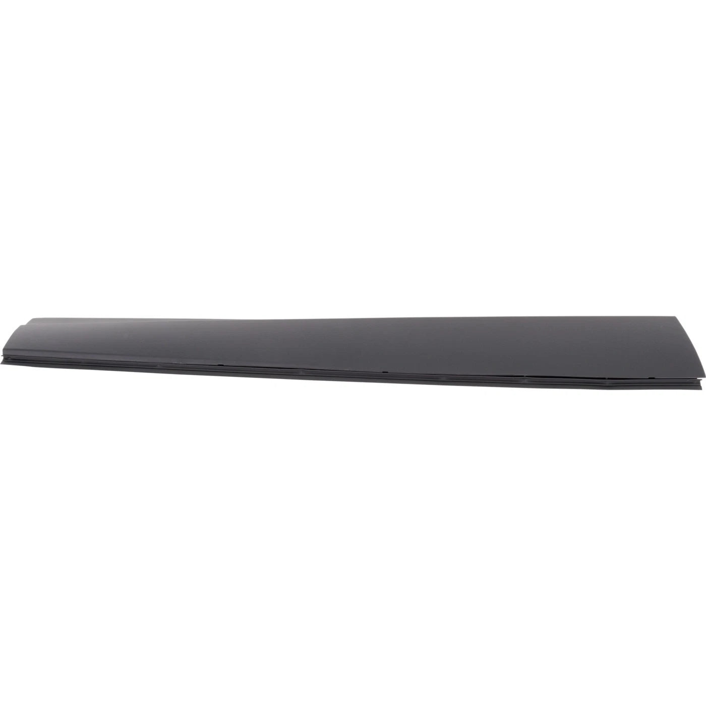 Door Moldings for Honda Passport Pilot (Front Driver Left Side)