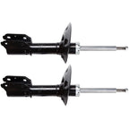 2X Front Struts for Pontiac Aztek Buick Rendezvous (2001–2007)