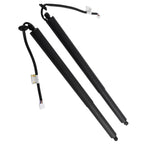 2X Rear Lift Support for Toyota Highlander Hybrid (2006–2019) 689100E130 689200E080