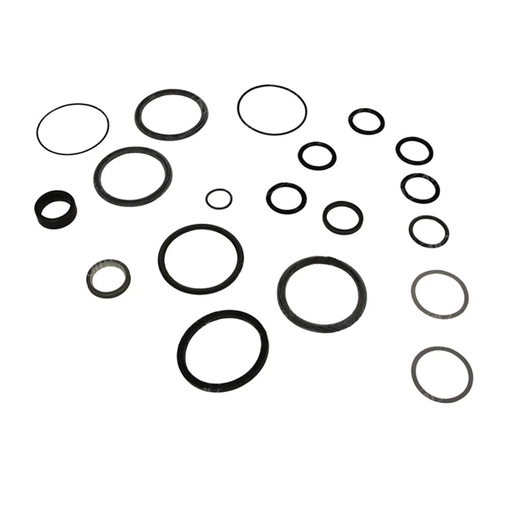 Hydraulic Cylinder Seal Kit for Ford/New Holland (1101-1223)