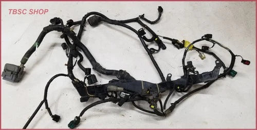 Engine Management Wiring Harness for Jaguar S-Type V6 3.0 (2000–2002)