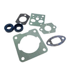 Gasket Kit for FS38 HS45 HS5 (4140 007 1600)