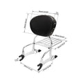 Sissy Bar Luggage Rack for Indian Chieftain Roadmaster Dark Horse (2020–2025)