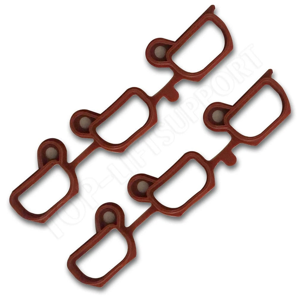 Gasket for BMW 325i 525i M54 E46 E39