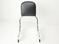 Detachable Sissy Bar Backrest Chrome for Harley Davidson FLSB, FXLR (2018–2022)