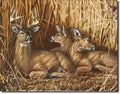 Vintage Replica Tin Metal Sign for Ducks Unlimited Whitetail Deer (1039)