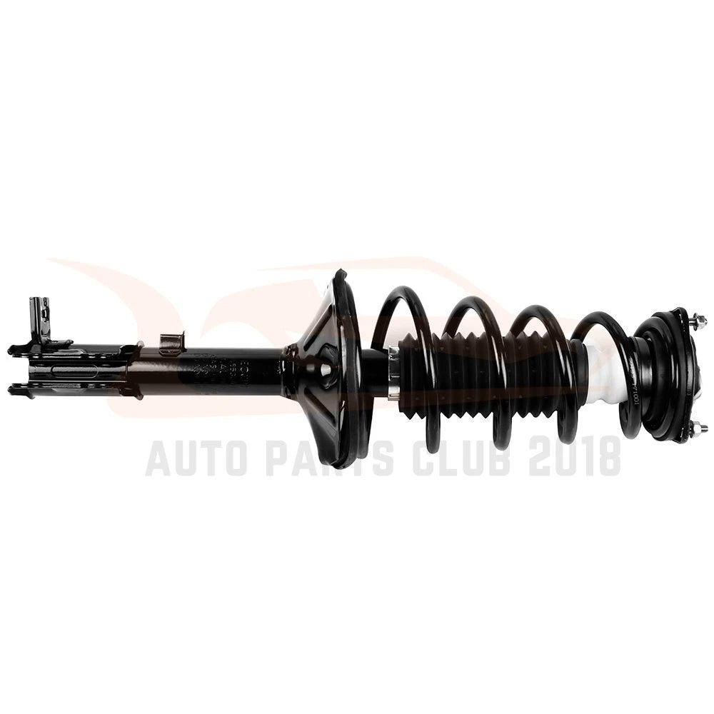 Set of 4 Struts Shocks Springs & Mounts for Hyundai Accent (2000-2005)