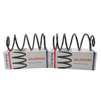Rear Coil Spring Kit for Chevrolet (4414208)