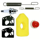 Carburetor Kit for Lawn Mower Engines (Fits 795477, 698369, 795469)