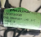 Engine Bay Management Harness with Fuses for Jaguar XJR (2002) LNG3350GB