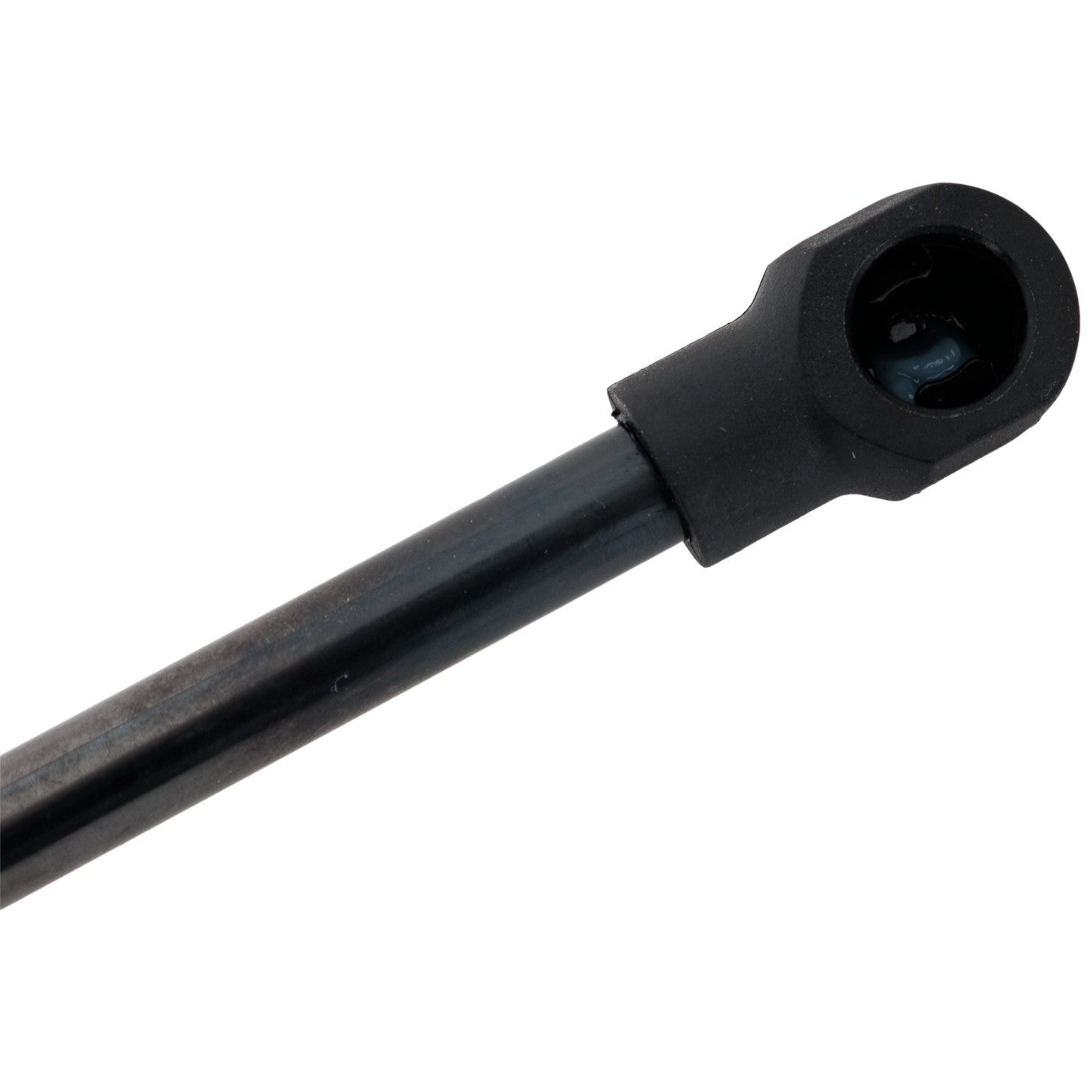 Liftgate Lift Supports for Toyota Prius (2010–2015)