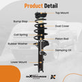 Complete Rear Strut Spring Assembly for Hyundai Elantra (2000–2006)