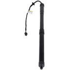 Liftgate Lift Support Strut for Nissan Pathfinder (2017–2019)