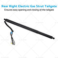 Electric Gas Strut Tailgate Rear Right for BMW X3 F25 (2010–2017)